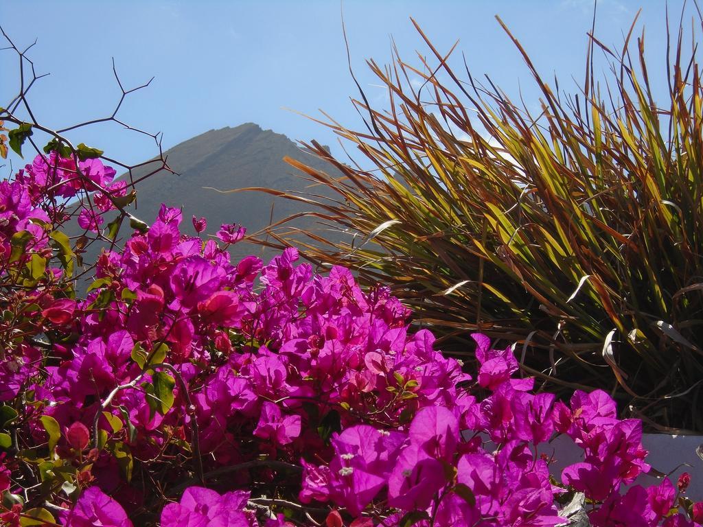 فندق يهفي  El Cortijo Eco Finca المظهر الخارجي الصورة
